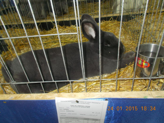 DSCN3605 - 04-Expozitie Zalau ianuarie 2015