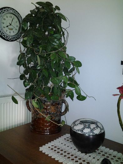 este plina cu bobocei:-):-)