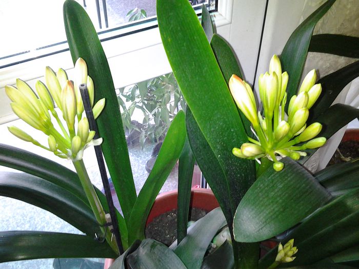 20150227_160322