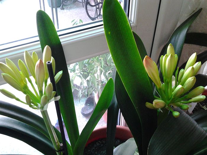 20150227_160340