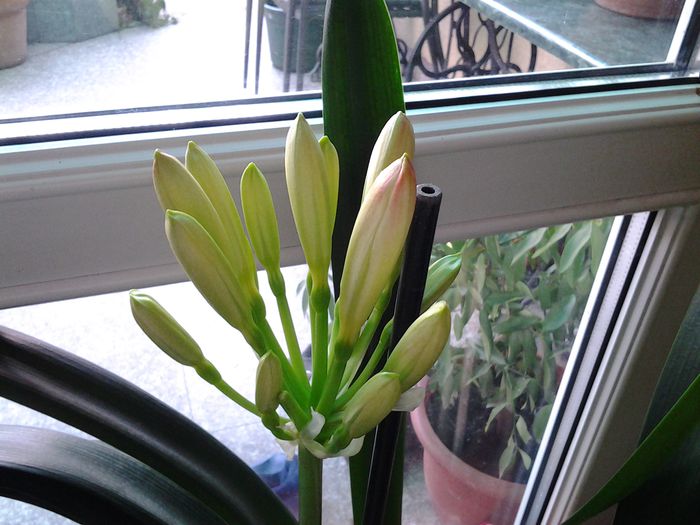 20150227_160352
