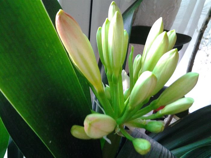 20150227_160407