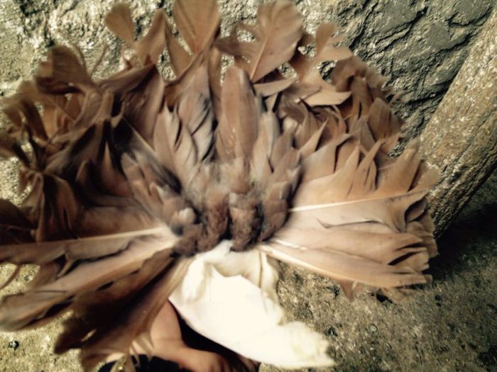 10677_871265782916425_3734654178911882109_n