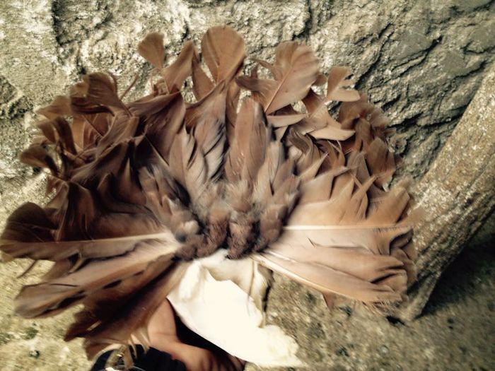 1513769_871265699583100_2062951635459199731_n