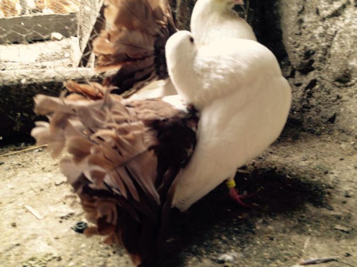 10006958_871267102916293_6727318916150501741_n