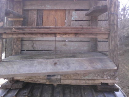Photo-0094