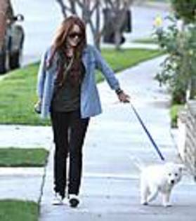 miley4 - aproape toate pozele mele cu Miley si Hannah