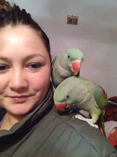 IMG_20150228_190402 - Marele Alexandru