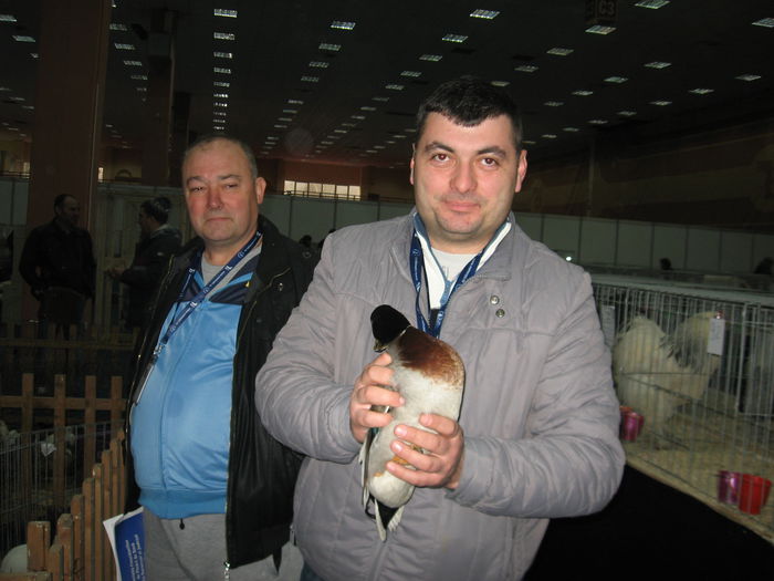 IMG_9578 - EXPOZITIE BUCURESTI PAJURA