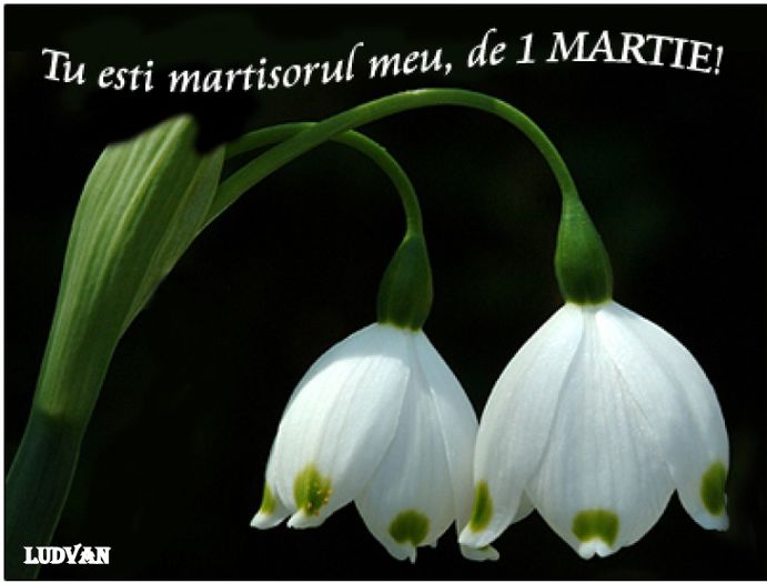 Martisor-1 marie - Martisor