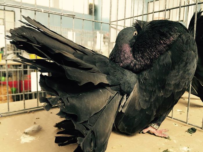 551560_10203702327338737_5510545078065654462_n