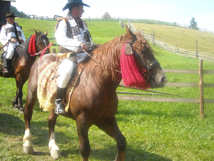 133 - Nunta in Bucovina2008