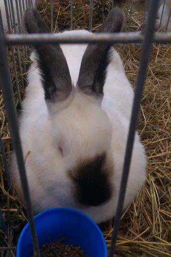 IMAG0290 - Expozitie Iasi 2015