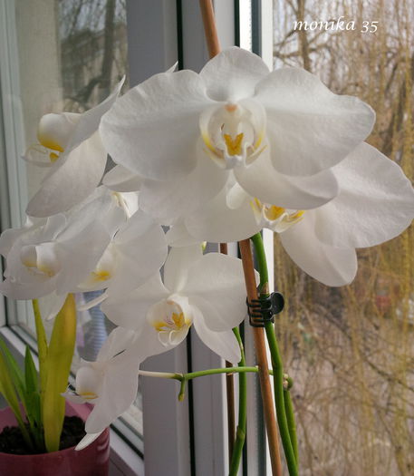 IMG_20150228_151310-001