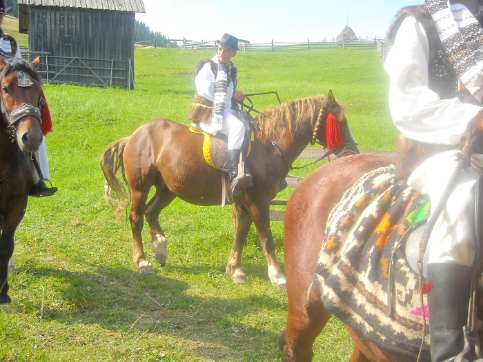 136 - Nunta in Bucovina2008