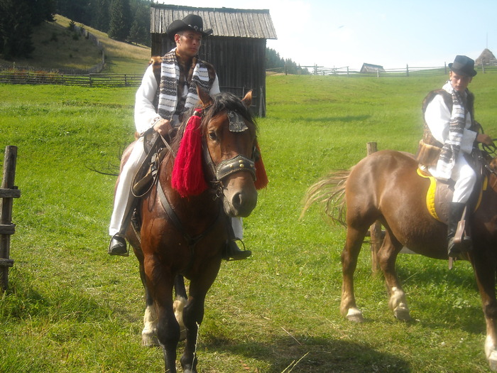 137 - Nunta in Bucovina2008