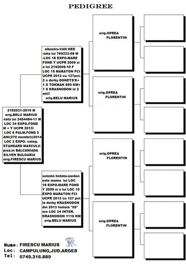 ped.2192031-10 M - perechea nr 2