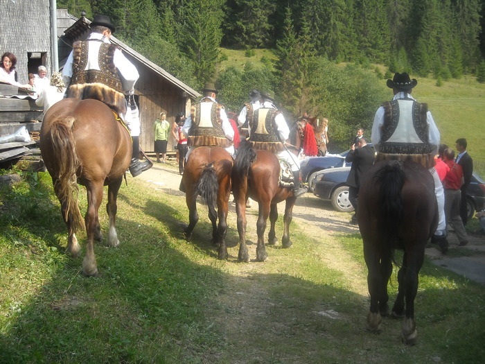 140 - Nunta in Bucovina2008