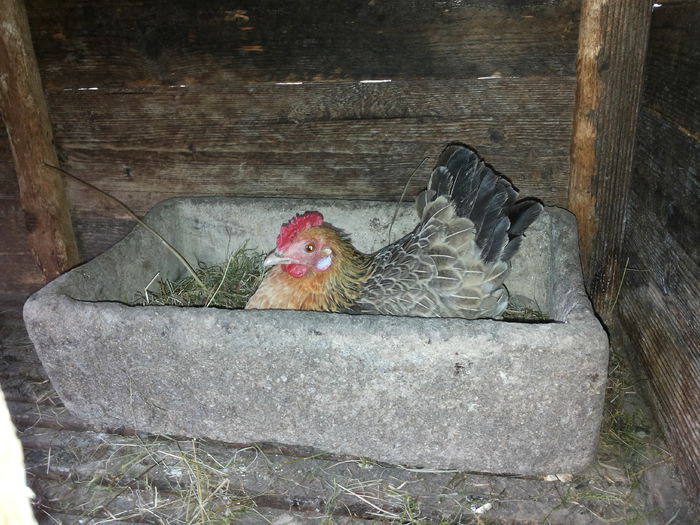 si ea tot la munca :))