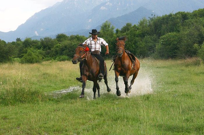 Cazare munte Brasov Rasnov Bran Moeciu Busteni mic dejun cina cetate castel pensiuni cabane hoteluri - Ferma agroturistica Floare de Maces cu cazare Brasov Bran Moeciu Rasnov Predeal cu cazare