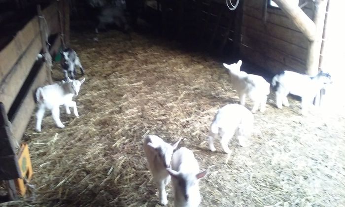 20150227_165117_Burst01 - Fatari 2015