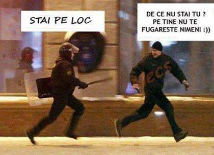 10959704_1539518869635120_6905992007628930171_n - A   despre gusturi nu discutam