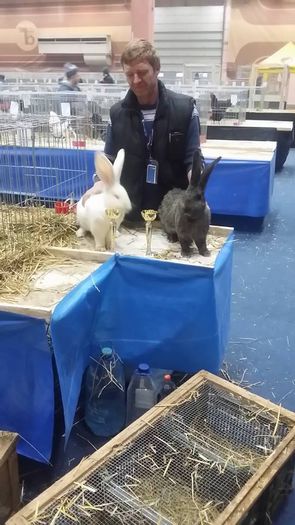 A - XXX 2015 EXPO PET EXHIBITION BUCURESTI