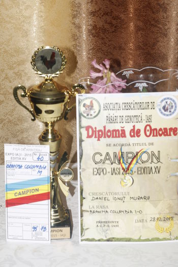 _MG_6888; Campion Brahma columbia 2014
