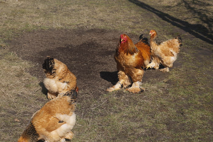 _MG_6820 - REZULTATE EXPOZITIE iASI 2015