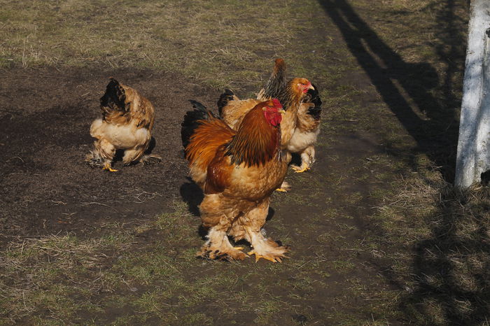 _MG_6821 - REZULTATE EXPOZITIE iASI 2015