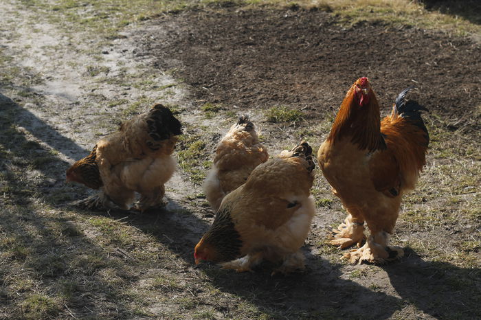 _MG_6823 - REZULTATE EXPOZITIE iASI 2015