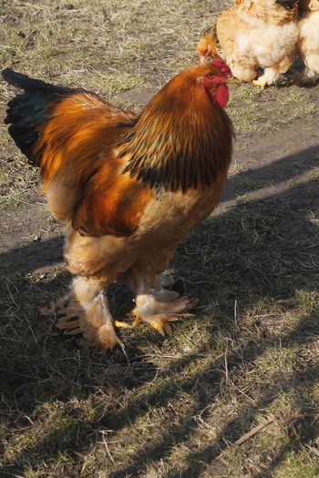 _MG_6824 - REZULTATE EXPOZITIE iASI 2015