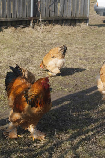 _MG_6825 - REZULTATE EXPOZITIE iASI 2015