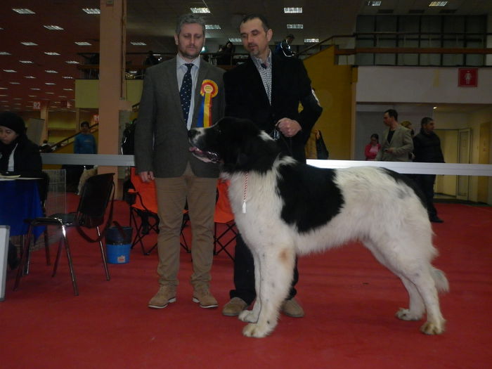 P1010299 - Expo CAC Bucuresti-1 martie 2015