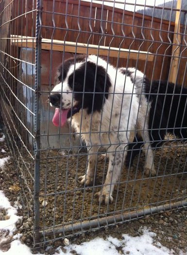 11006126_640952429384718_816915125_n