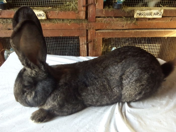 IMG_20150302_150644 - Copy