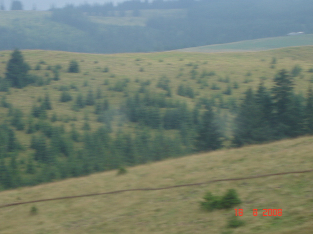 198 - Peisaje frumoase din Bucovina