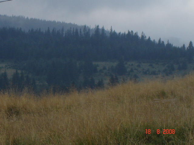 207 - Peisaje frumoase din Bucovina