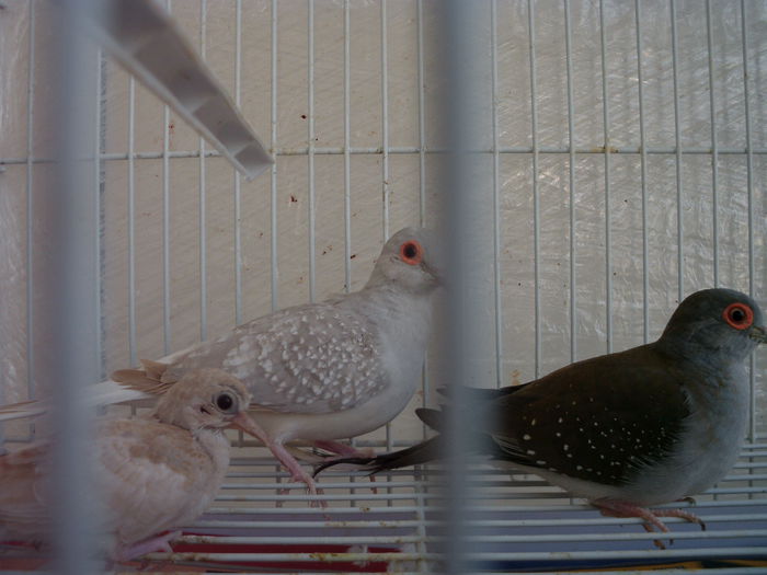 ziua a 12 -a alaturi de parinti....