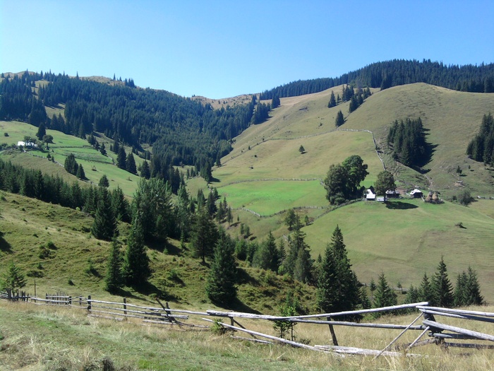 Copy of Fotografie058 - Peisaje frumoase din Bucovina