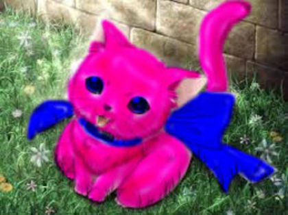 rq pt Lulu - 2014