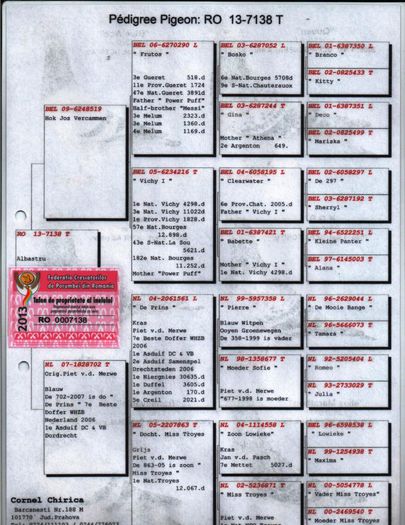 RO-13-0007138