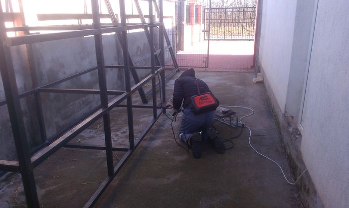 Custi iepuri in lucru 10-03-2015