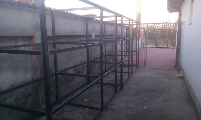 Custi iepuri in lucru 10-03-2015