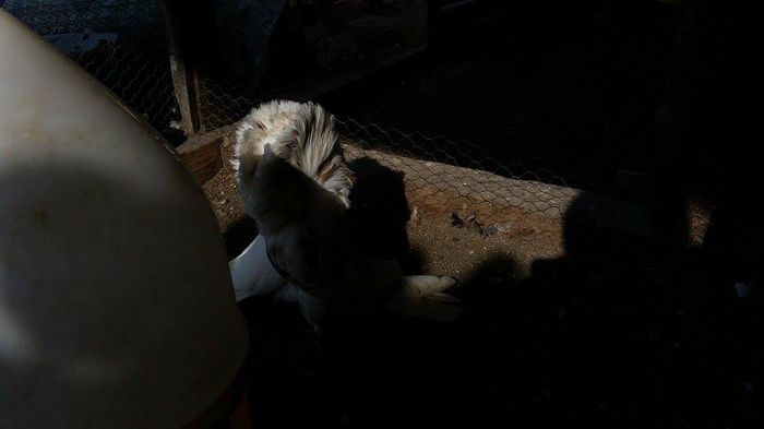 11051503_10205940952544170_1478332857_n