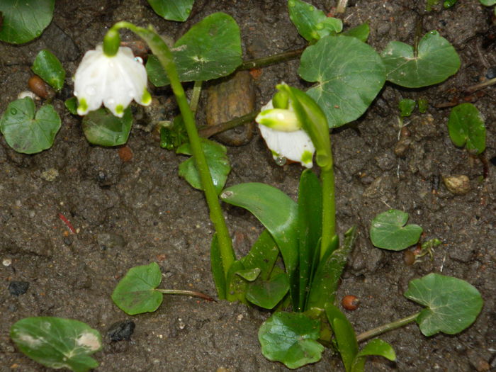 DSCN5665 - 2015_MARTIE