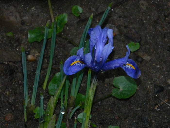 DSCN5666 - 2015_MARTIE