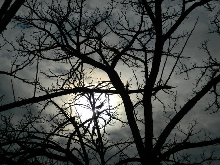 DSCN5840 - 2015_MARTIE