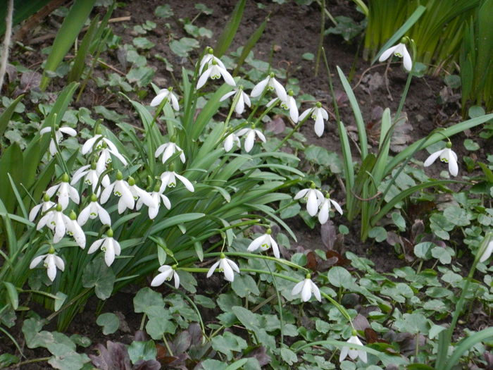 DSCN5870 - 2015_MARTIE