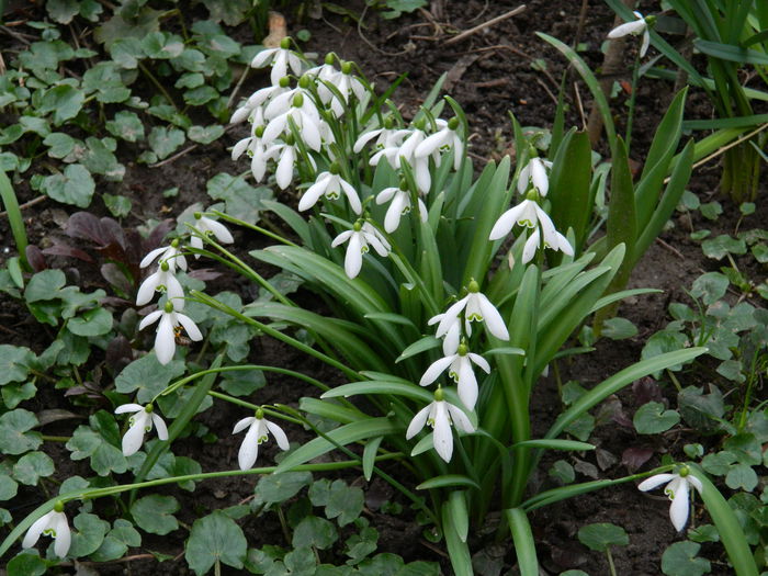 DSCN5884 - 2015_MARTIE